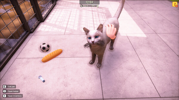 《动物收容所2 AnimalShelter2》2025最新中文版下载 | 免安装绿色版 支持Win10/Win11